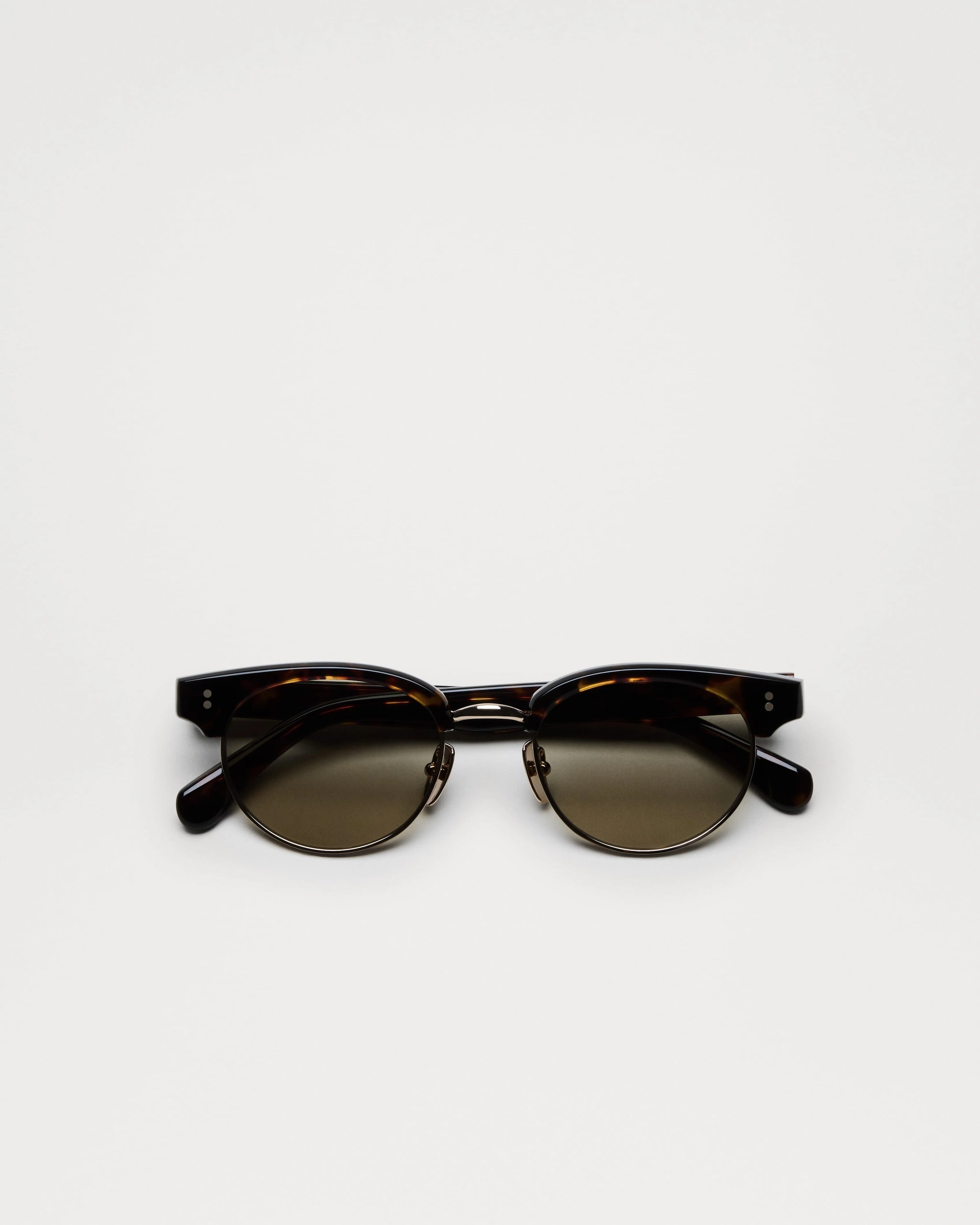 Page Tortoise - CHIMI Official Site