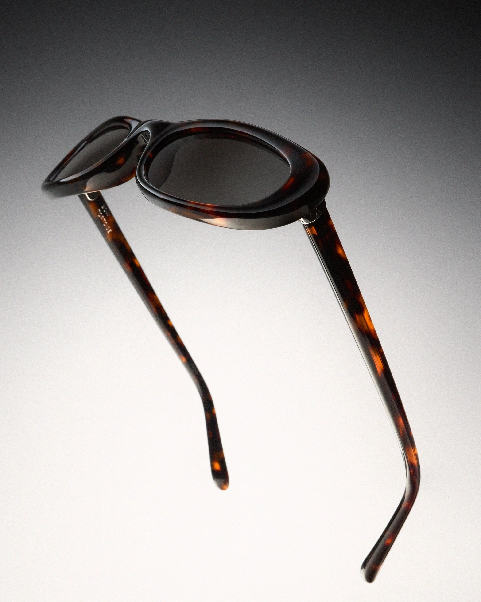 Bow Tortoise - CHIMI Official Site