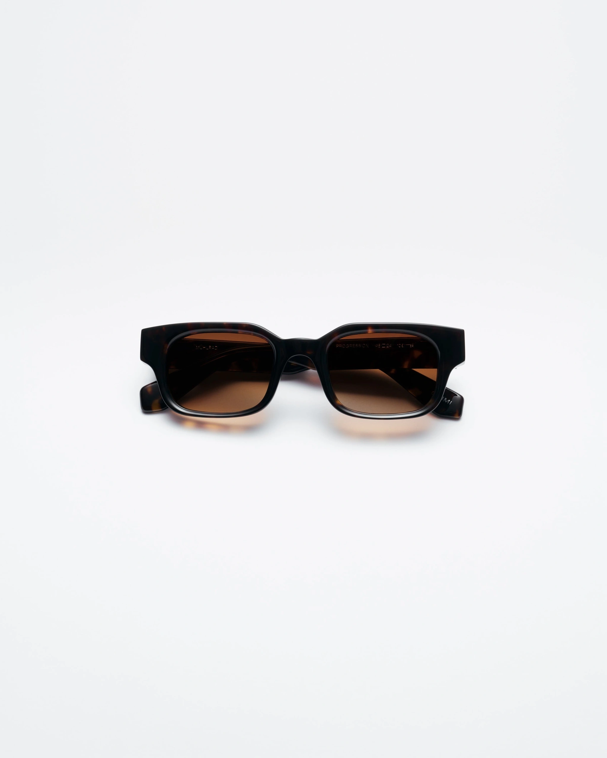 Progression Tortoise - CHIMI Official Site