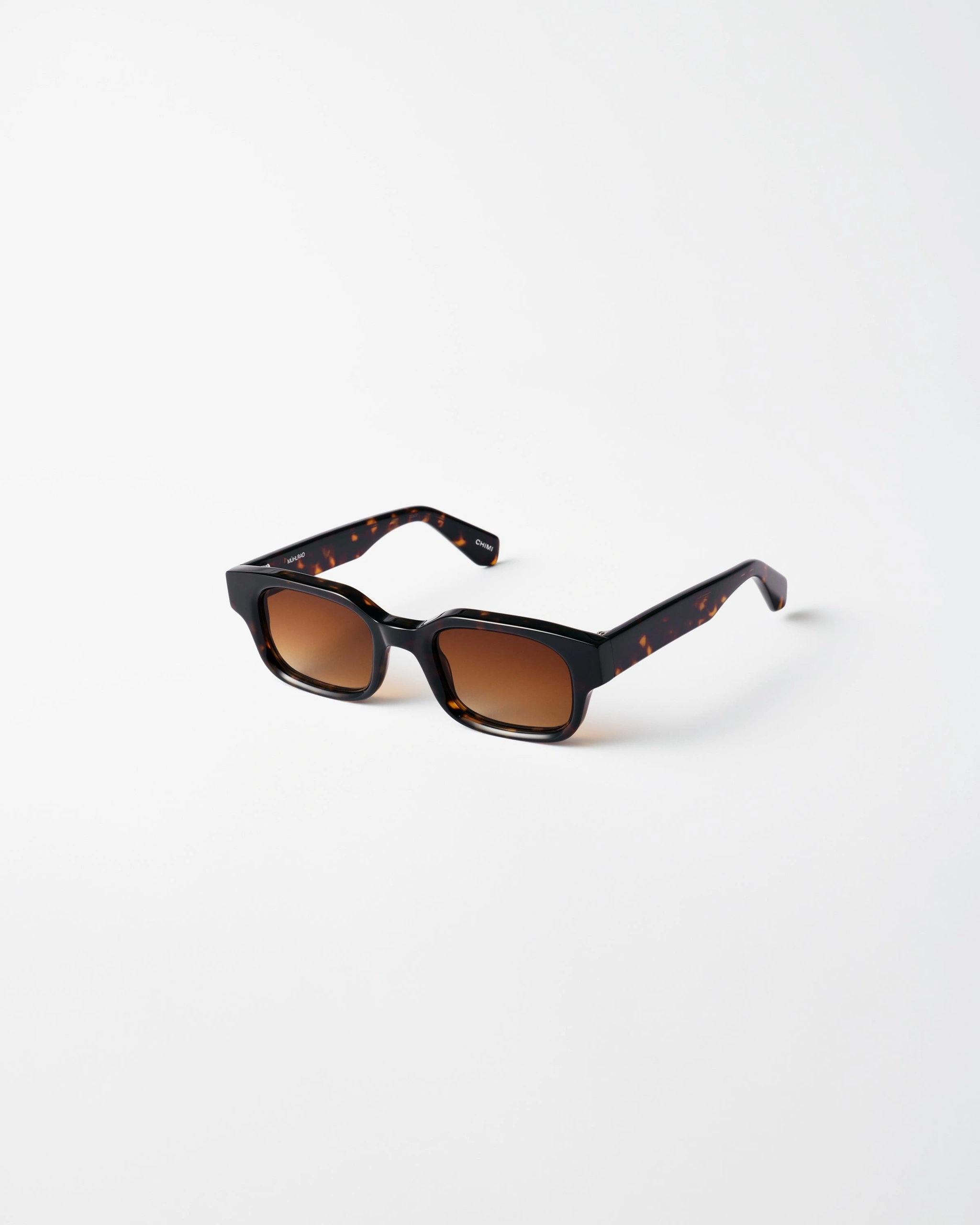 Progression Tortoise - CHIMI Official Site