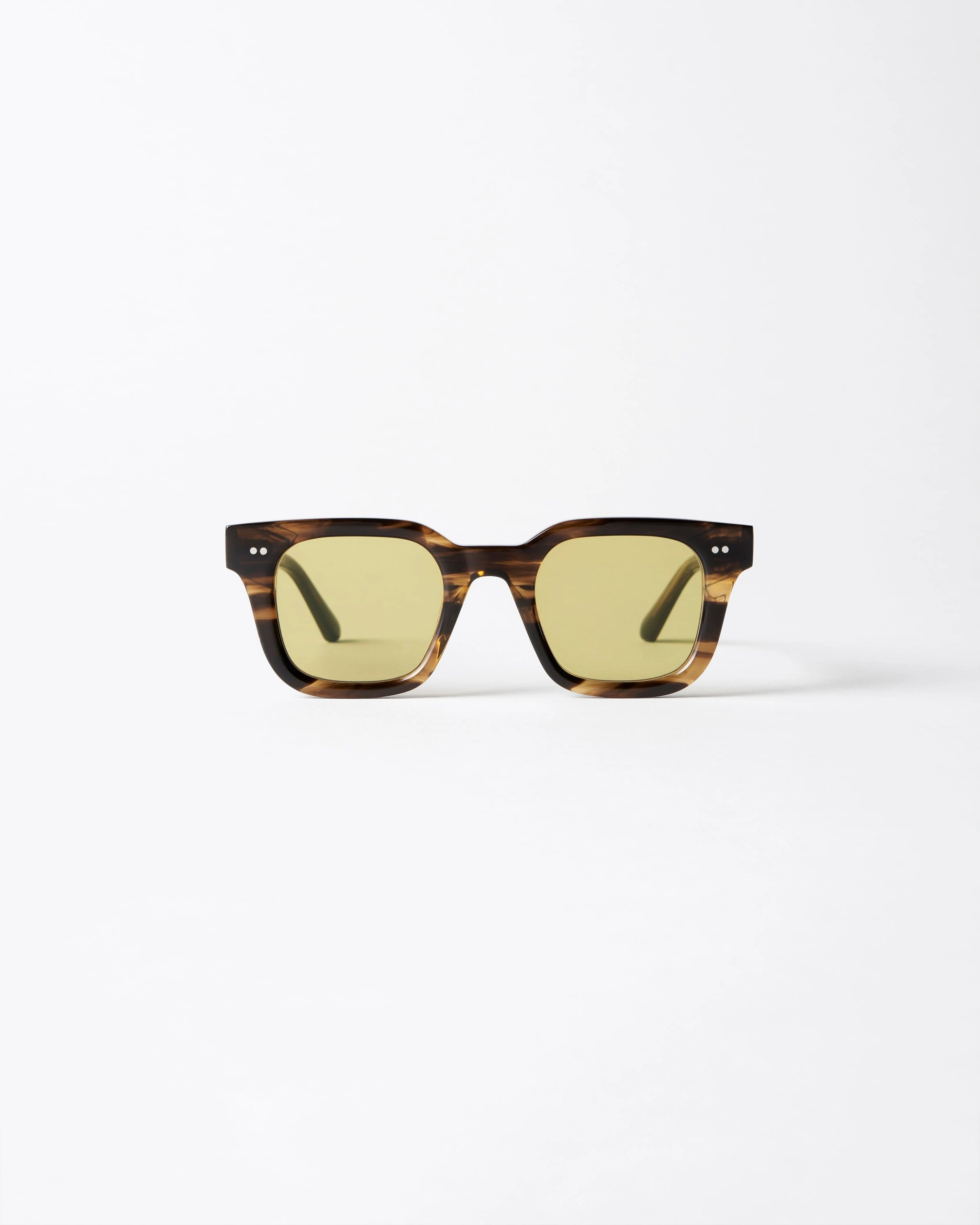 04 Lab Tortoise Yellow Tortoise