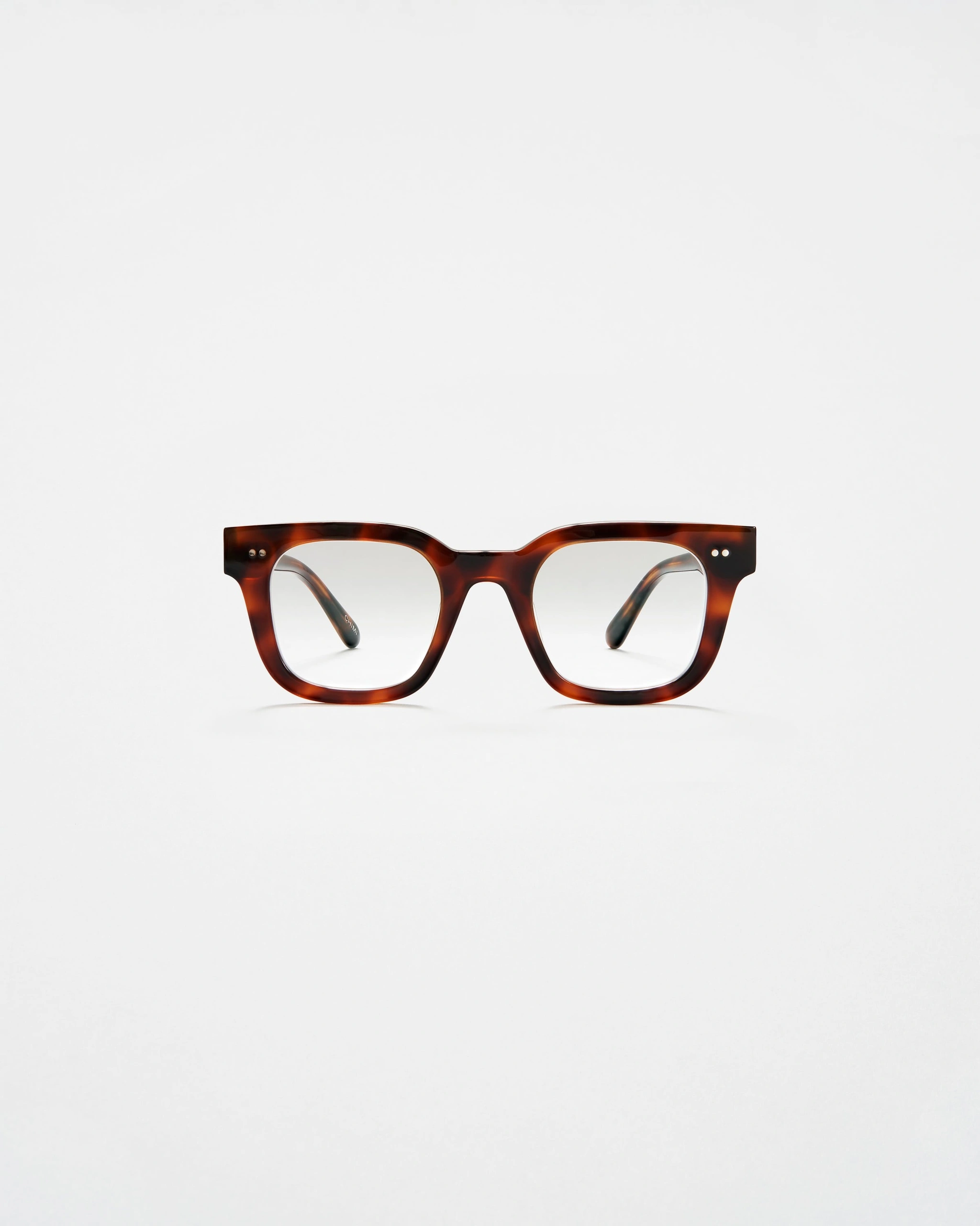 04 Optic Tortoise Tortoise - CHIMI Official Site