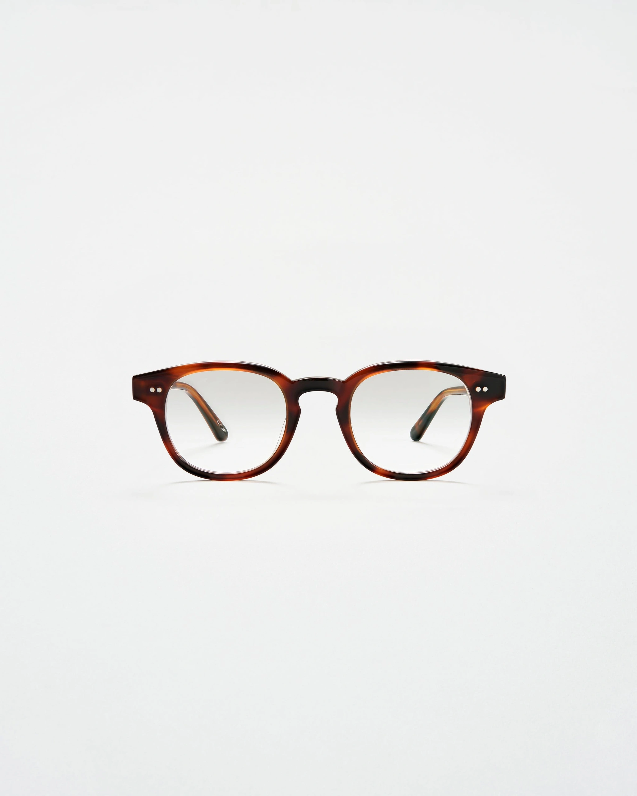 01 Optic Tortoise Tortoise