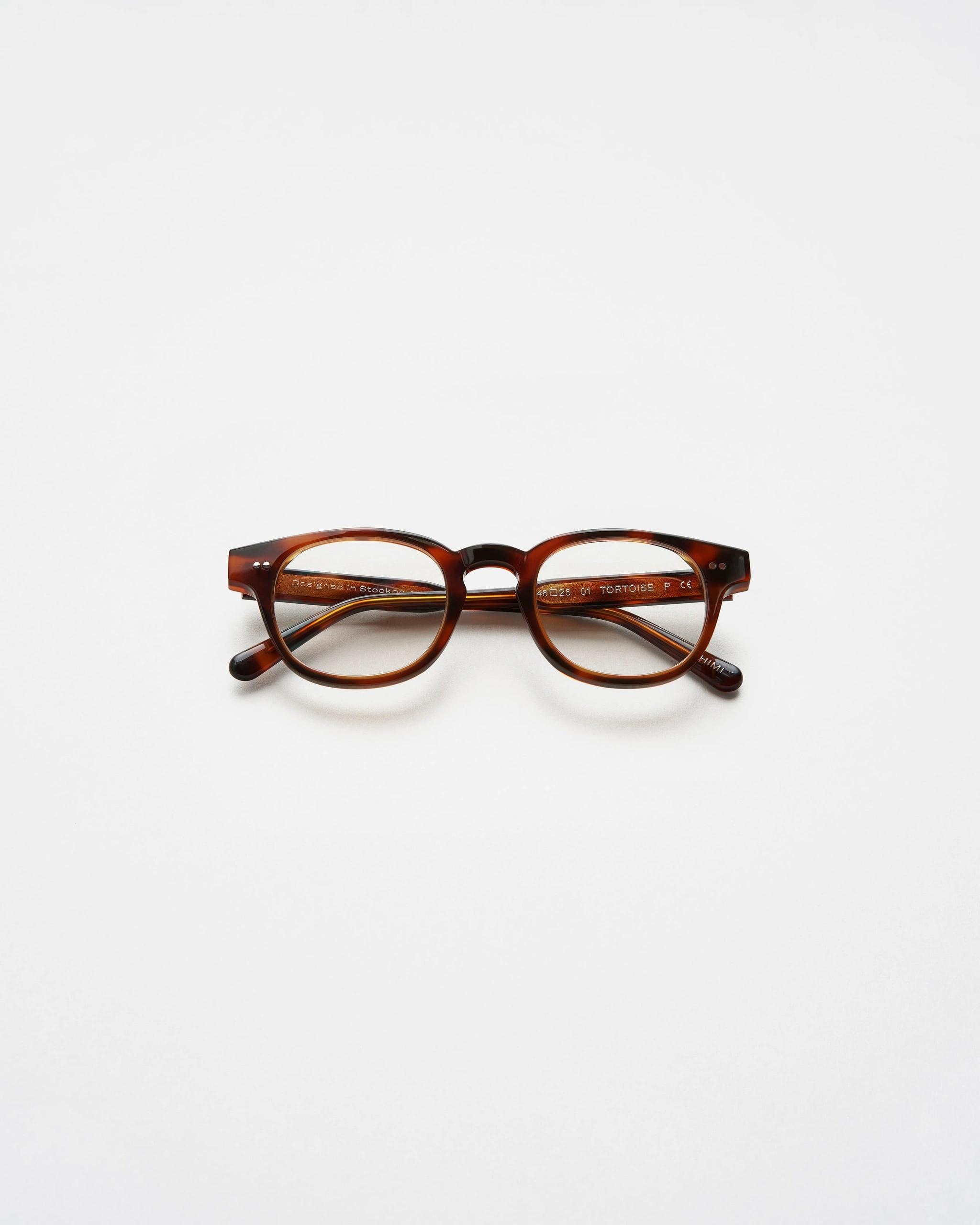 01 Optic Tortoise Tortoise 4 01 Optic Tortoise Tortoise